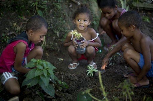 Pequeno paraíso ecológico resgatado do lixo no Vidigal