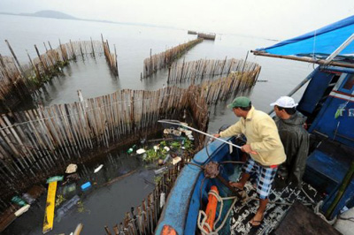 Longe do esplendor, a Baía de Guanabara é o retrato da poluição