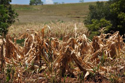 Municípios gaúchos e baianos entram em estado de emergência