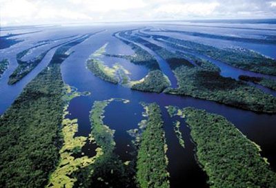 Nível do rio Negro está com tendência de queda