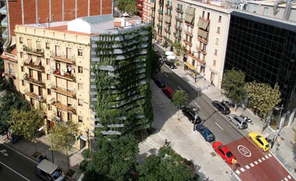 Barcelona transforma parede vazia em um jardim vertical