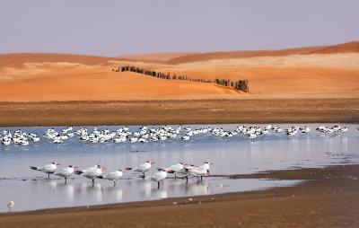 Reservatório na Namíbia pode garantir água por 400 anos