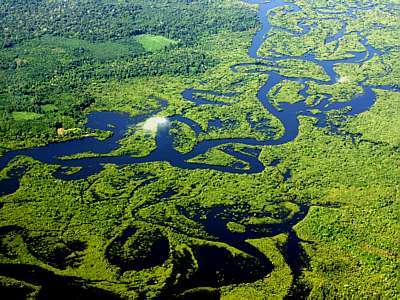 Profissionais criam Núcleo de Ecojornalistas do Amazonas