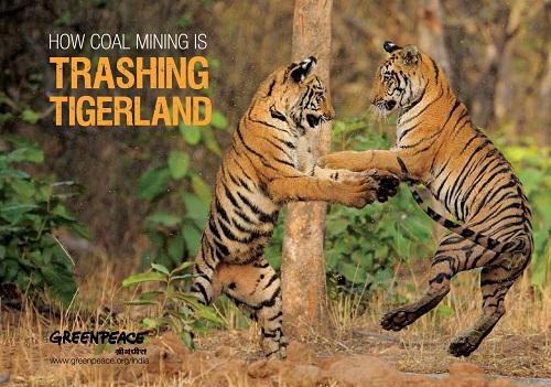 Mineração carbonífera na Índia ameaça tigres-de-bengala