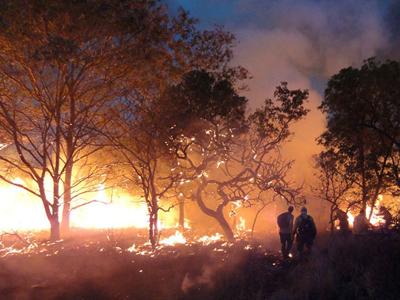 Pontos turísticos de Chapada dos Guimarães reabrem após incêndio