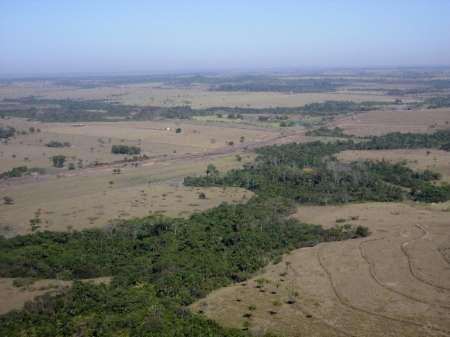 Amazônia tem maior desmatamento mensal desde julho de 2009