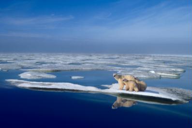 Oceano Ártico se divide entre a exploração econômica e a ecologia