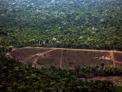Floresta amazônica perde 431 km² de área em setembro