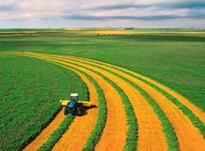 Agricultura é responsável por um terço das emissões globais de GEEs