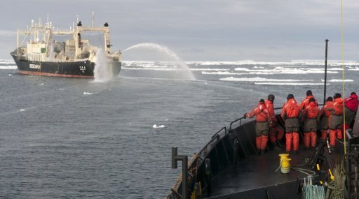 Baleeiros japoneses seguem para a Antártica