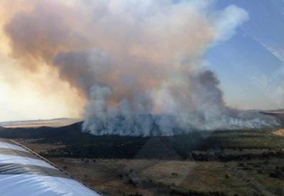 Incêndios florestais avançam na Austrália em nível de ‘catástrofe‘