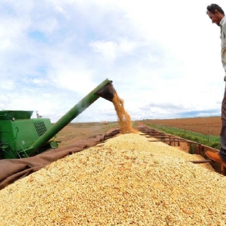 Ambientalistas tentam minimizar impacto da expansão da soja