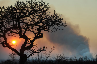 Promulgado protocolo de acordo ambiental entre países do Mercosul