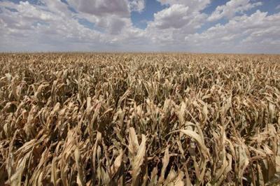 Aquecimento global provoca fenômenos extremos de frio e calor