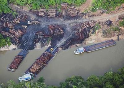 Balsas que levam a Amazônia nas costas