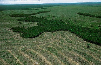 Novo cadastro ajudará Brasil a solucionar passivo ambiental