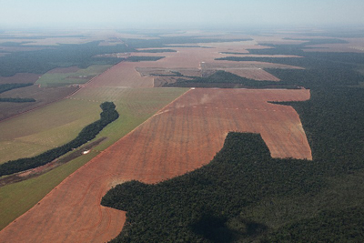 Desmatamento na Amazônia registra aumento de 91%