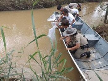 Polícia Militar de Minas Gerais realiza a soltura de 10 mil peixes