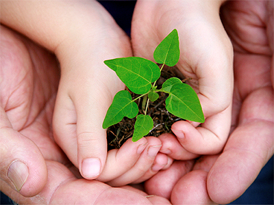 O constitucionalismo ecológico na América Latina