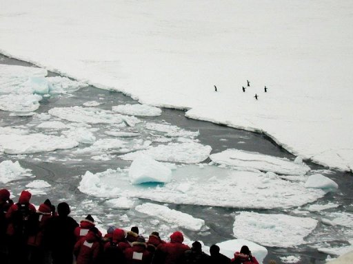 Aquecimento dos mares provoca derretimento de gelo na Antártica