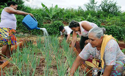 Quilombolas cultivam roças para melhorar alimentação