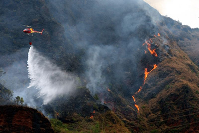 Blitz educativa marca Semana de Prevenção a Incêndios Florestais