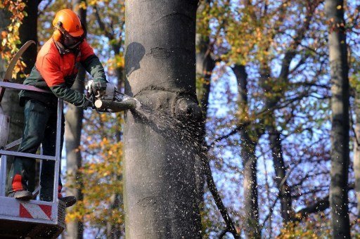 Terra entra no vermelho em termos de 'dívida ecológica'