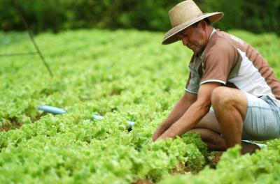 Alimentação orgânica – Sustentabilidade no prato