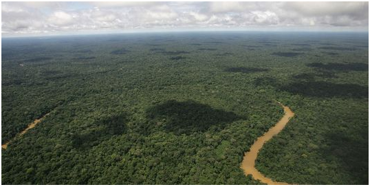 Equador deu sinal verde à exploração da reserva de Yasuni.