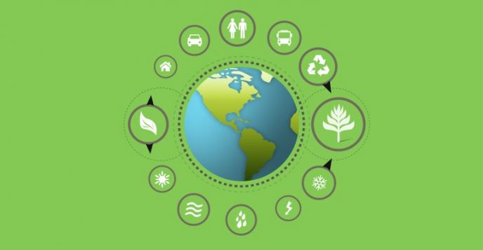 Sensibilidade ecológica e sustentabilidade ambiental