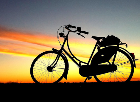 Pedalar beneficia a saúde do ciclista e o meio ambiente