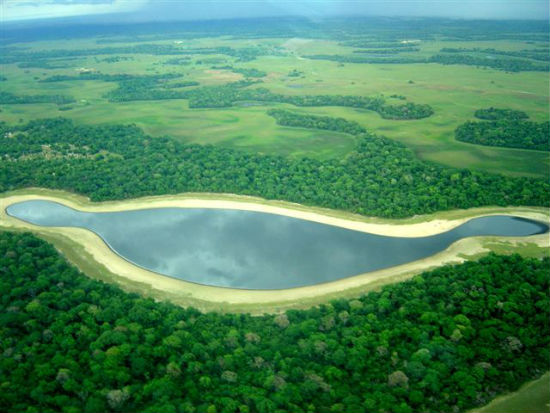 Preservação de nascentes é solução para conservar o Pantanal