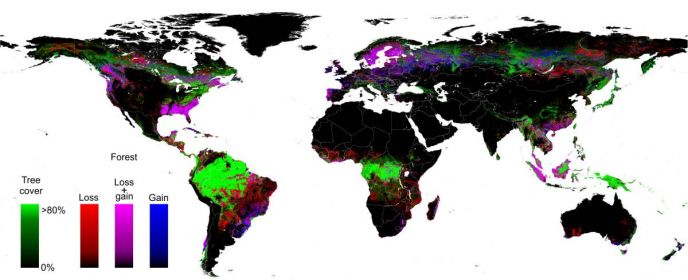 Cientistas publicam primeiro mapa detalhado da mudança global nas florestas