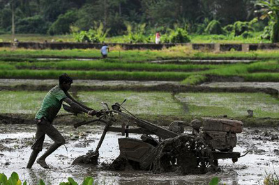 Um quarto da agricultura mundial está em áreas de estresse hídrico