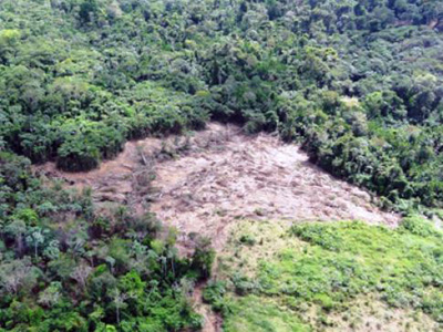 Mudança na emissão de gases de efeito estufa no Brasil