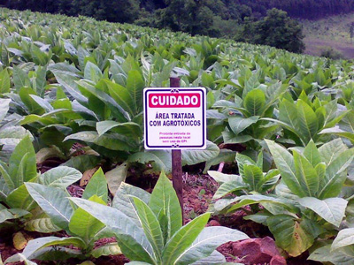 Venda de agrotóxicos cresce três vezes mais do que lavouras