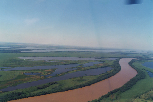 Planícies de inundação do Rio Paraná - Biodiversidade, ameaças e conservação.