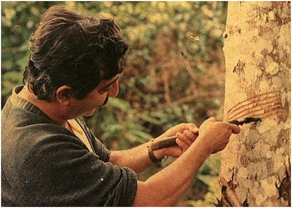 Perto dos 25 anos da morte de Chico Mendes, a luta do ambientalista pouco avançou