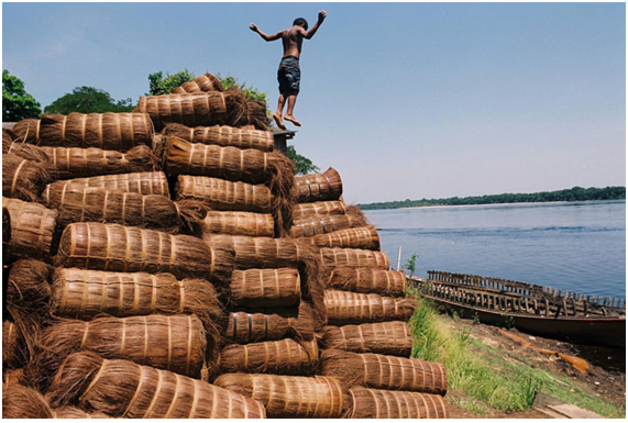 Amazônia Mundi convida público a viver experiências inesquecíveis na floresta