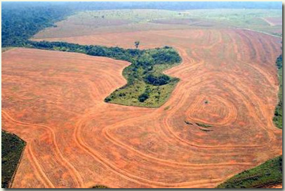 Aumento no Desmatamento na Amazônia em 2013