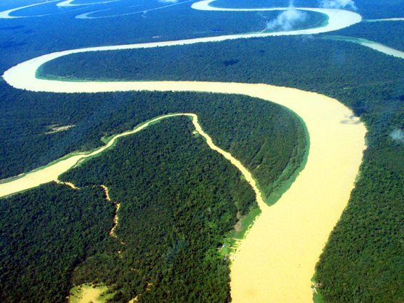 Falta de chuva afeta a capacidade da Amazônia de absorver carbono