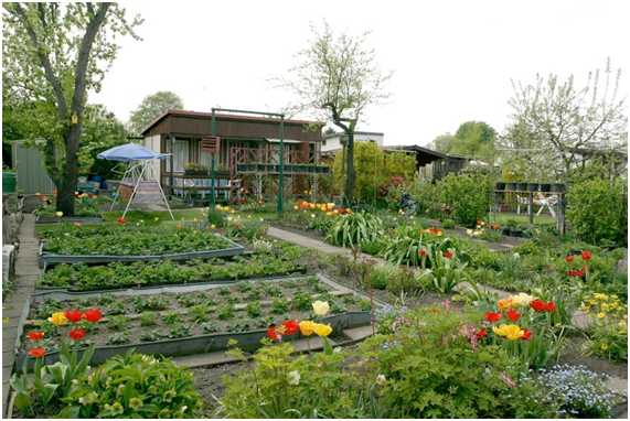 Agricultura Urbana: Hortas comunitárias se popularizam cada vez mais em Berlim