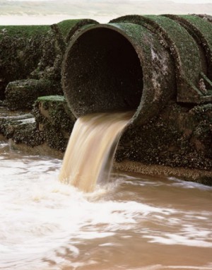 Contaminantes emergentes na água: Entrevista especial com Wilson Jardim