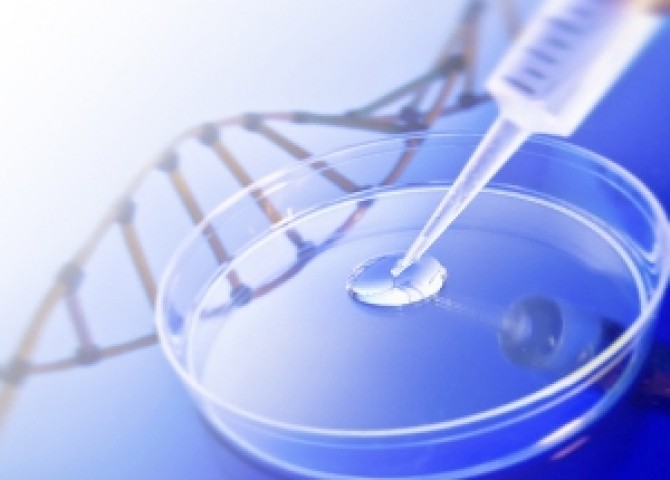 A biotecnologia e as preocupações jurídicas.