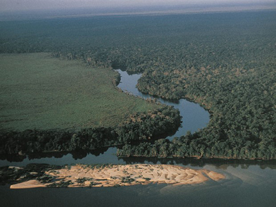 A Amazônia como esperança e solução