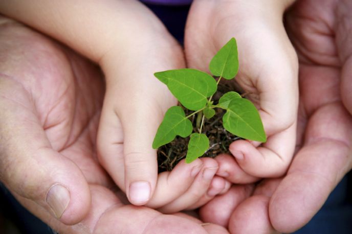 Sustentabilidade no setor público é tema de seminário