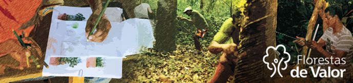 Justo e sustentável: Florestas de Valor ativa a produção comunitária de borracha na Amazônia