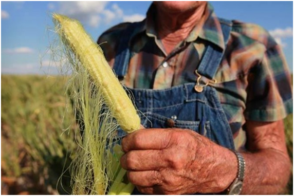 Clima extremo, preços altos - Comer em 2030 pode ficar caro