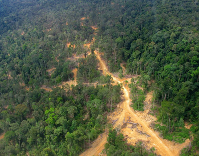 Interferência humana já impacta 85% dos hotspots