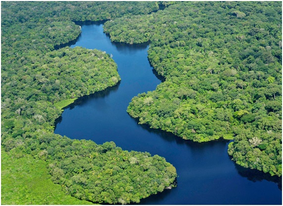 ONU: Brasil é exemplo de sucesso na redução do desmatamento
